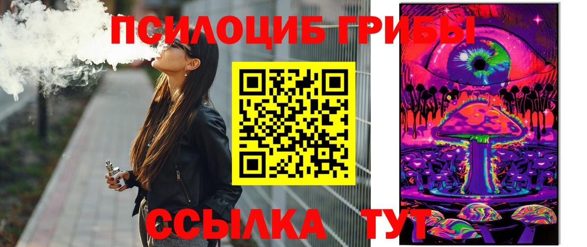 Городец  Псилоцибиновые грибы Psilocybine cubensis  сколько стоит  Вход с VPN  Галлюциногенные грибы Magic Shrooms 